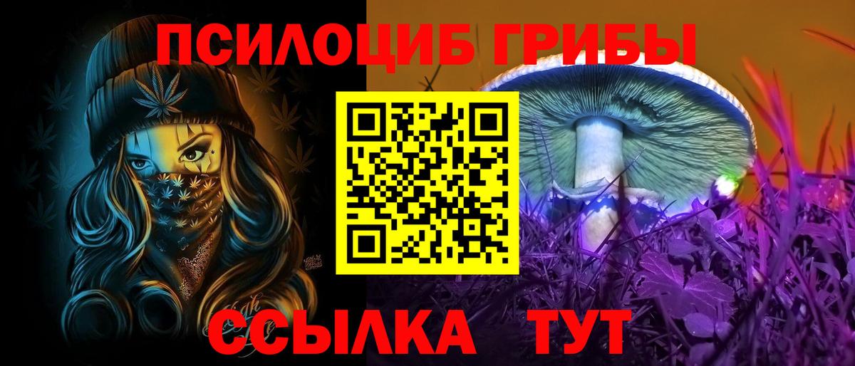 Йошкар-Ола  Псилоцибиновые грибы Psilocybine cubensis  Вход с VPN 